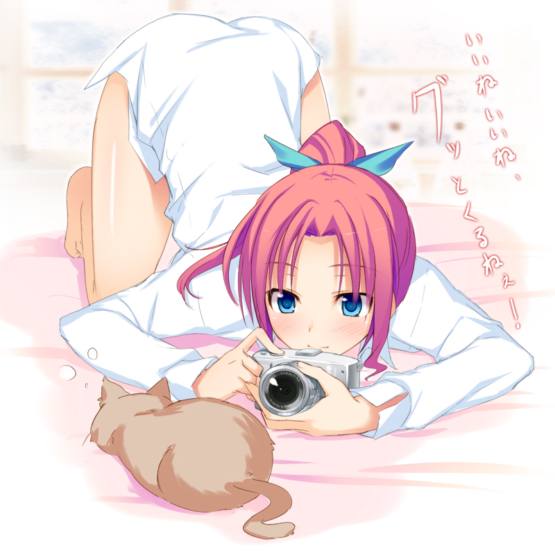 ファイル 110-1.jpg