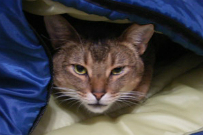 ファイル 113-1.jpg