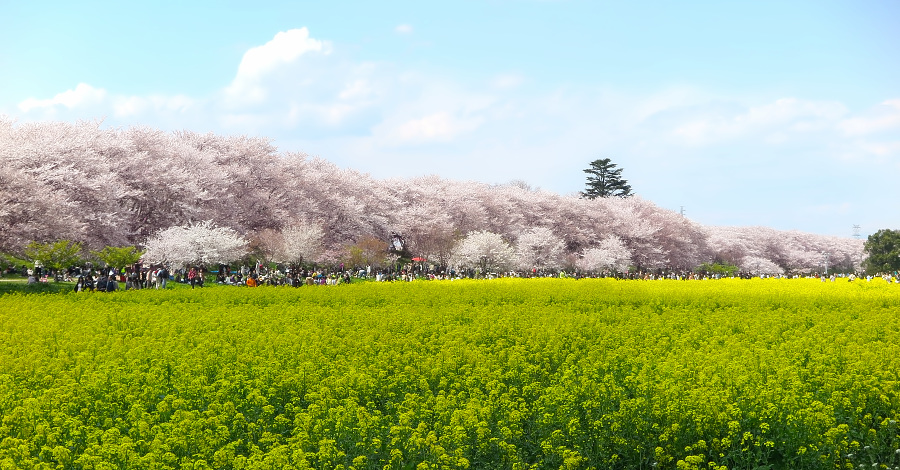 ファイル 154-1.jpg