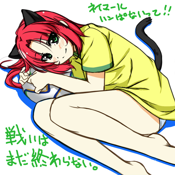 ファイル 209-1.jpg