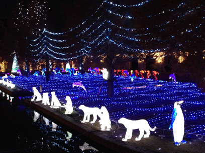 ファイル 254-1.jpg