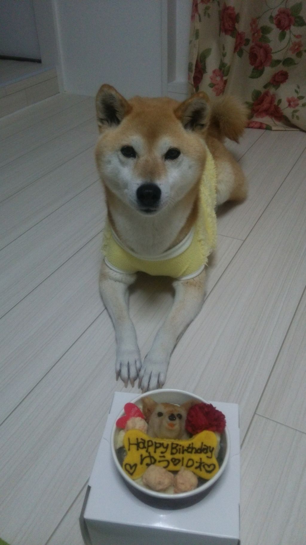 ファイル 265-1.jpg