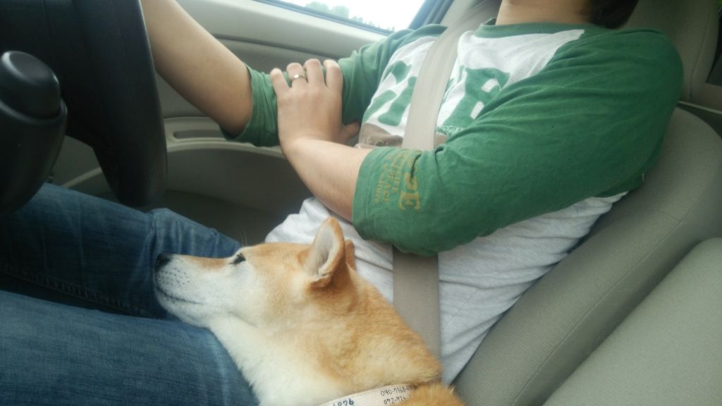 ファイル 276-1.jpg