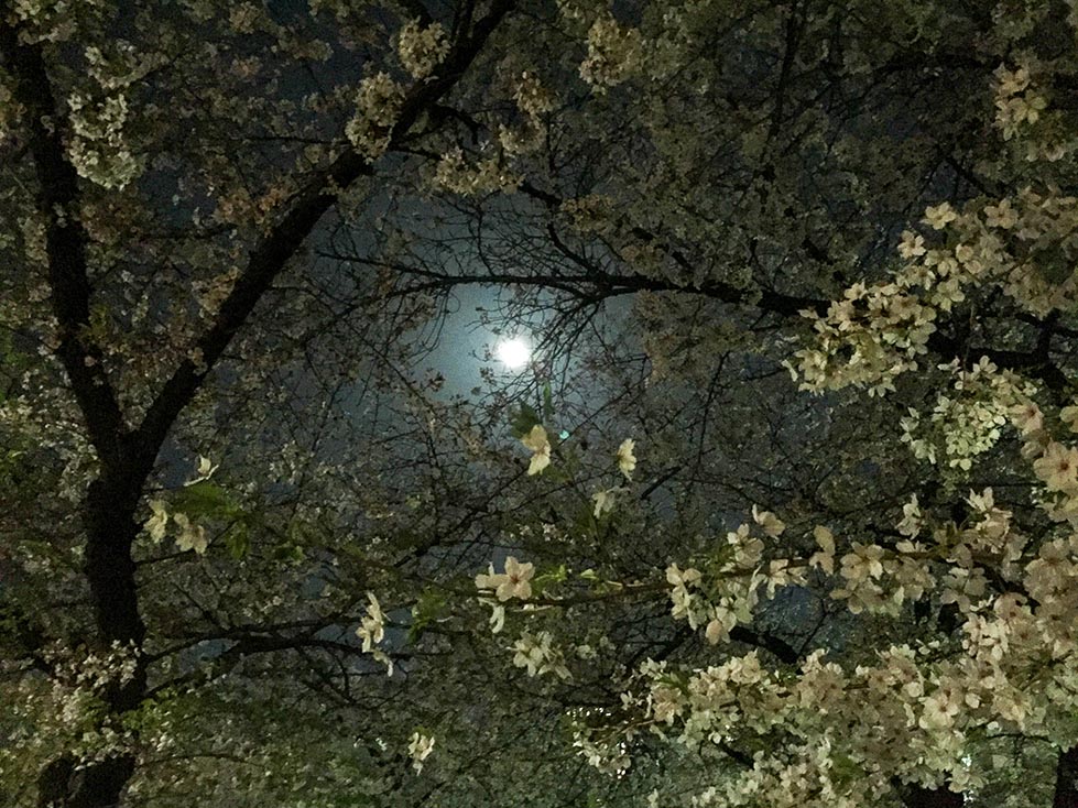 ファイル 415-1.jpg