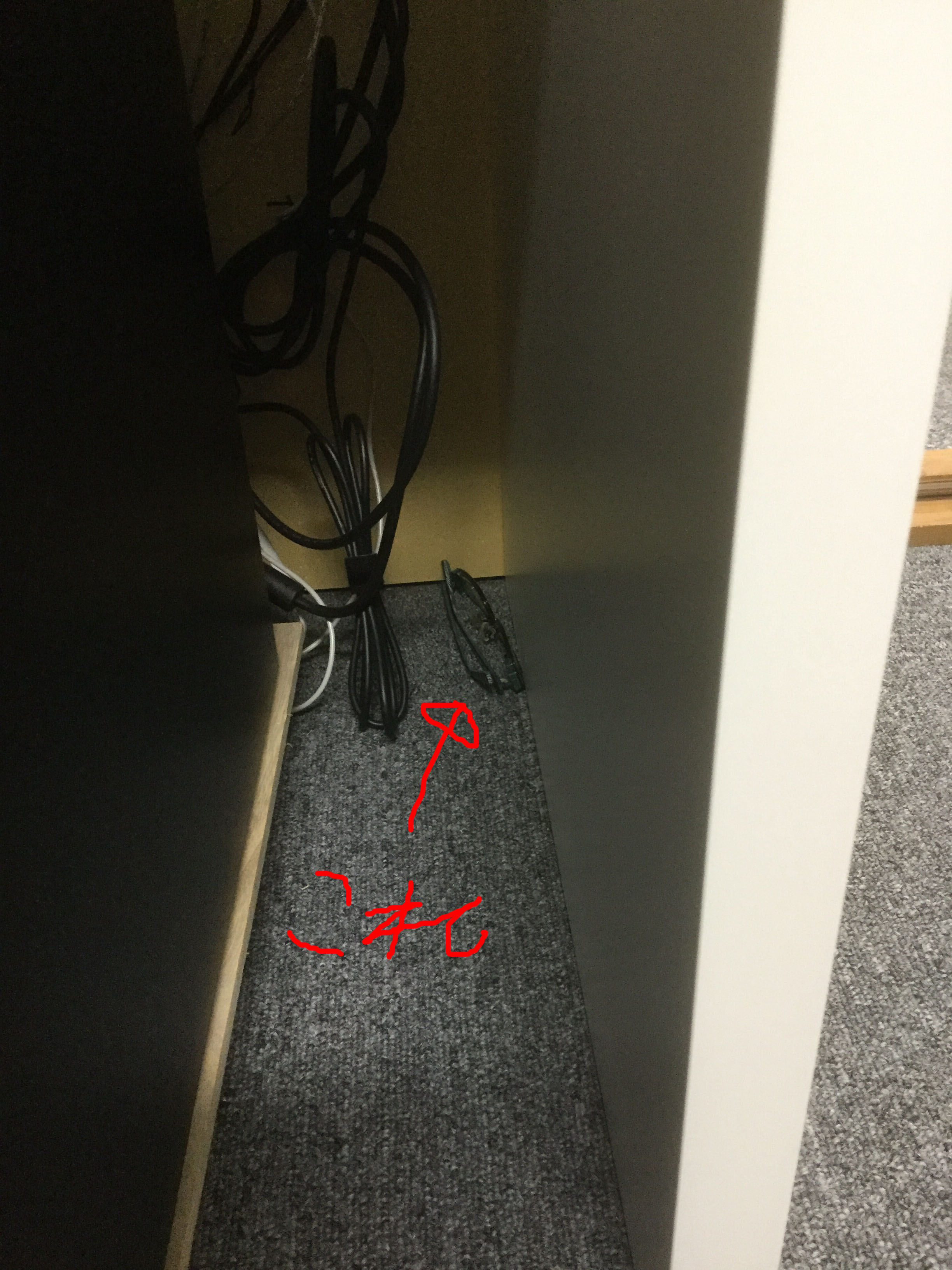 ファイル 447-1.jpg