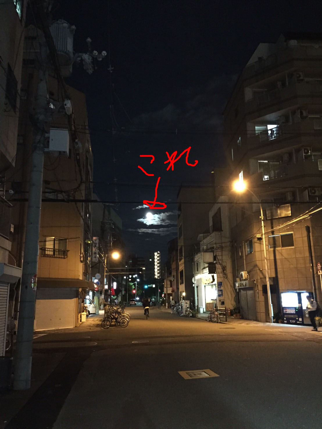 ファイル 447-2.jpg