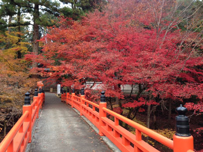 ファイル 70-1.jpg